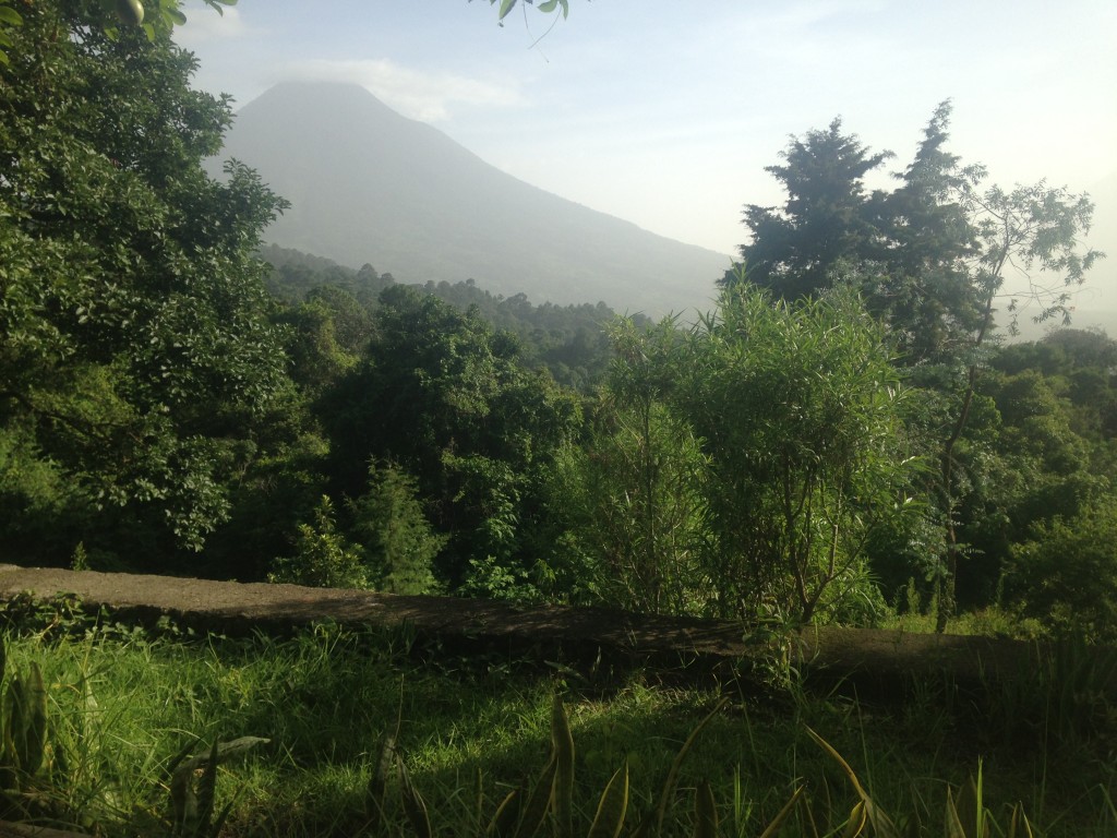Large avocado trees are sprinkled throughout the property, and an herb garden provides delicious flavor to all food